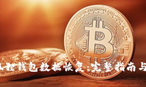 adspower小狐狸钱包数据恢复：完整指南与常见问题解答