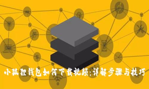 小狐狸钱包如何下载视频：详解步骤与技巧