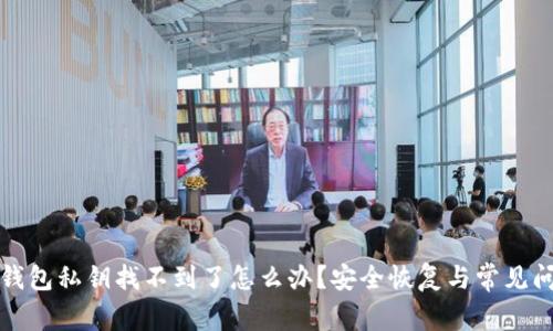 小狐狸钱包私钥找不到了怎么办？安全恢复与常见问题分析