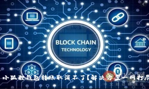 : 小狐狸钱包转账取消不了？解决方案一网打尽！