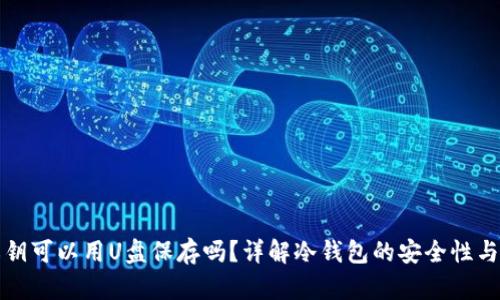 冷钱包私钥可以用U盘保存吗？详解冷钱包的安全性与使用方法