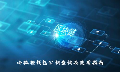 小狐狸钱包公钥查询及使用指南