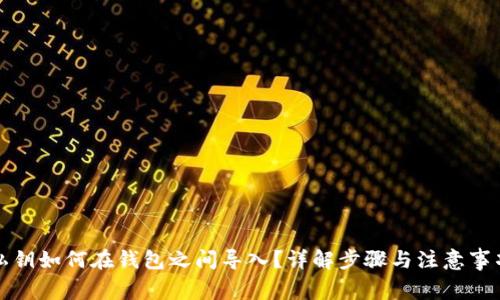 私钥如何在钱包之间导入？详解步骤与注意事项