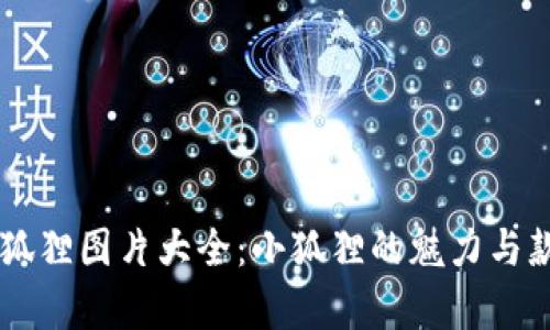 高清小狐狸图片大全：小狐狸的魅力与款式解析